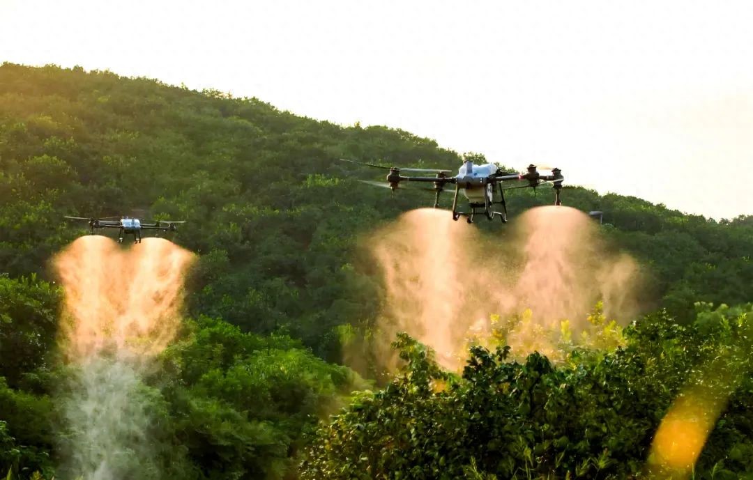 50萬架農(nóng)業(yè)無人機(jī)如何重塑全球農(nóng)業(yè)？揭秘未來十年新風(fēng)口