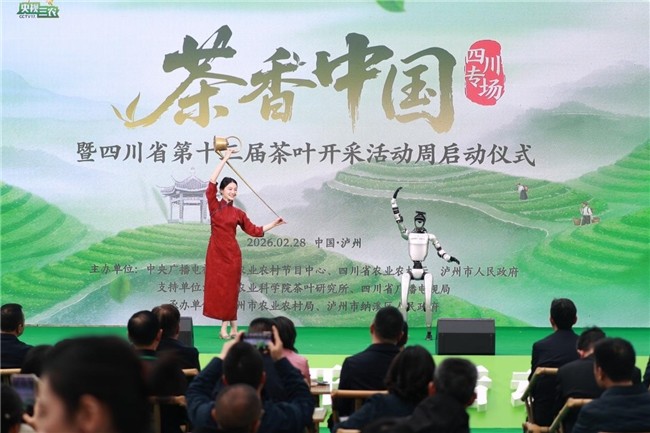 《茶香中國》正式啟動 首站帶大家到四川解鎖今春第一口鮮