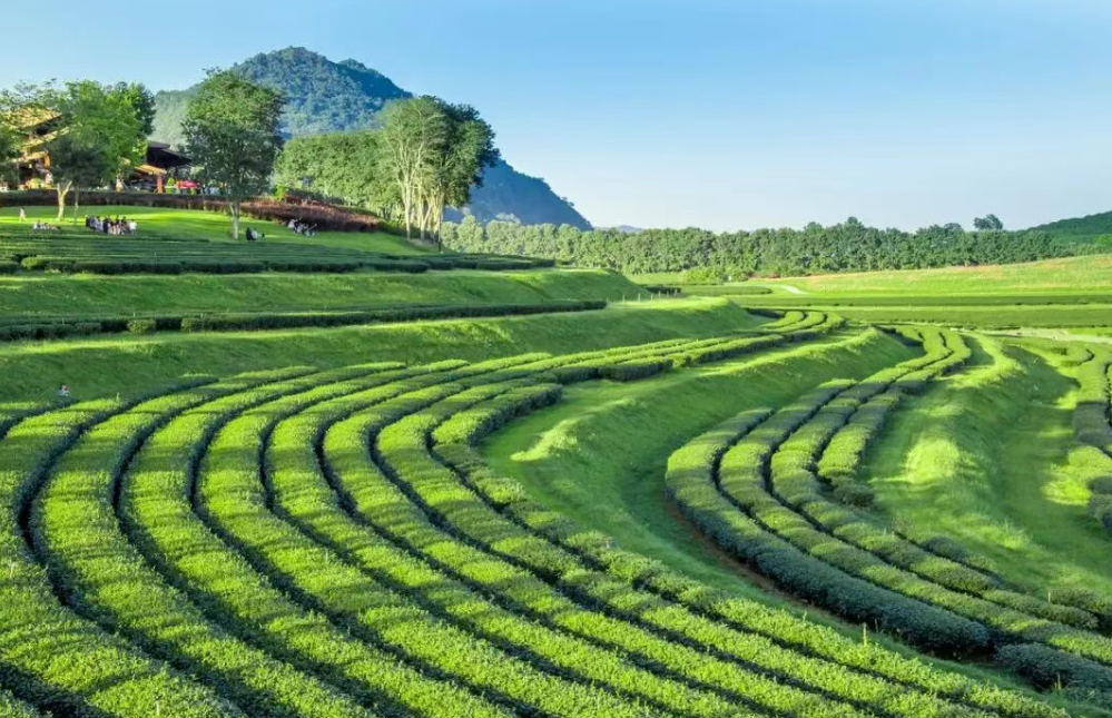 什么是生態(tài)農(nóng)業(yè)？ “生態(tài)循環(huán)農(nóng)業(yè)”經(jīng)典模式有哪些