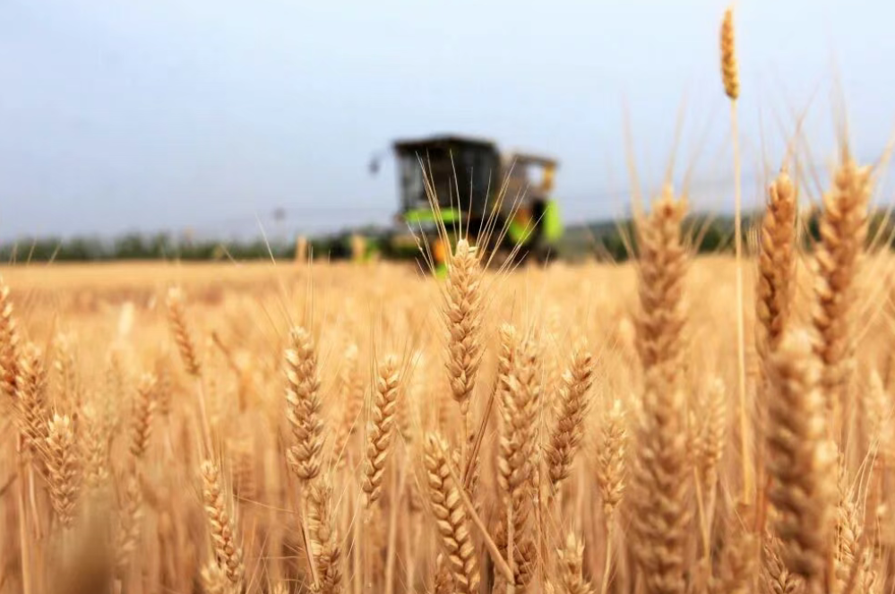 韓俊：提升農(nóng)業(yè)綜合生產(chǎn)能力和質(zhì)量效益