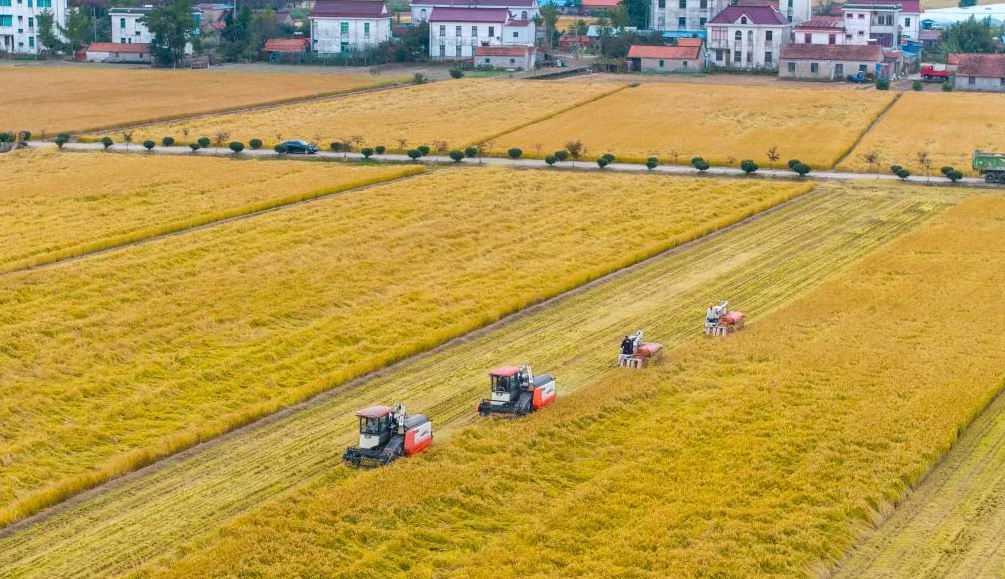 政策利好！高標準農(nóng)田都選在哪兒建？