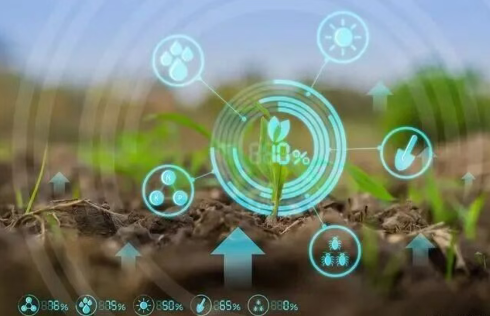 【生態農業】生態循環農業：碳路未來的綠色革命