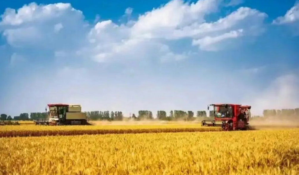 張建華：農(nóng)業(yè)農(nóng)村現(xiàn)代化如何賦能共同富裕？