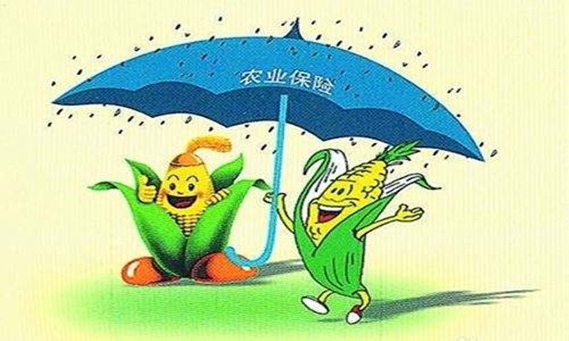 分析|2017國家開展農業大災保險試點：只有這3類農業主體符合