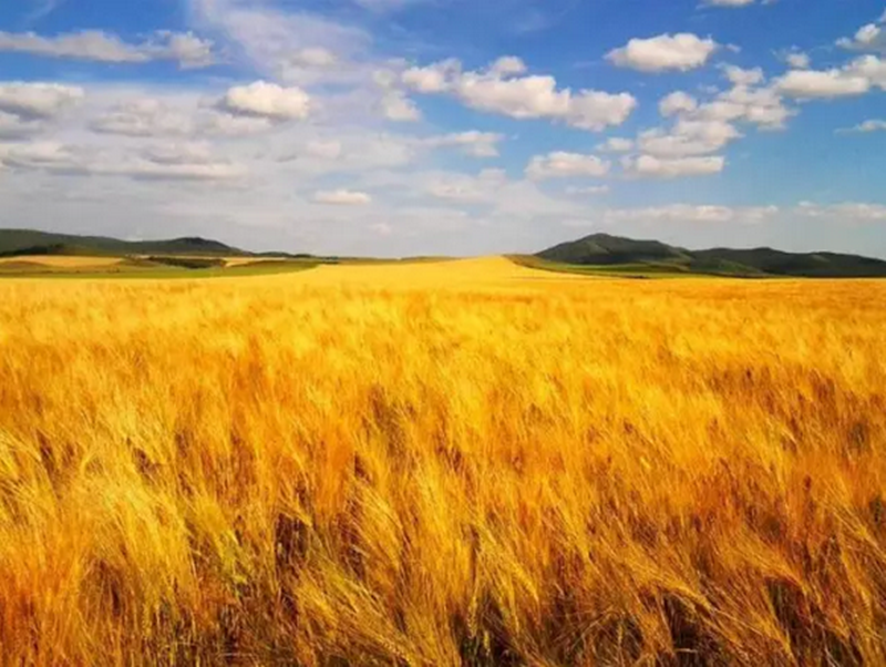 合作社法修訂在即：有5類人將得到扶持、但有人將會被清理！