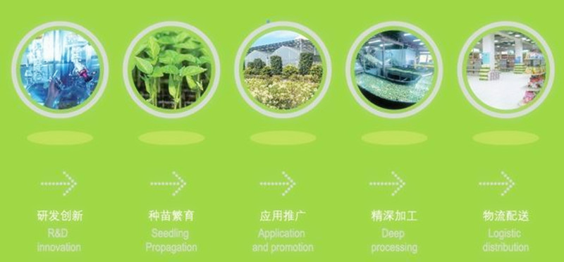 中國經濟報告：農業競爭已到火拼階段，未來加快產業鏈整合、提升中國農業競爭力