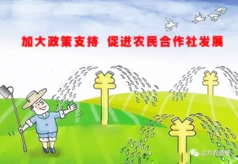 小農生產向現代農業轉變，要走哪條路？