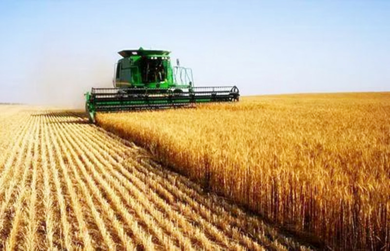 3大政策扶持，10大模式發力，合作社迎來賺錢時代