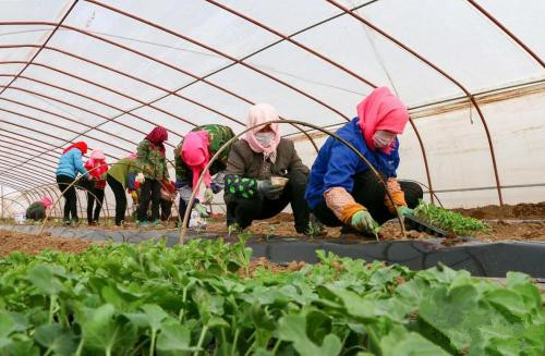 阻礙合作社賺錢的四大問題！