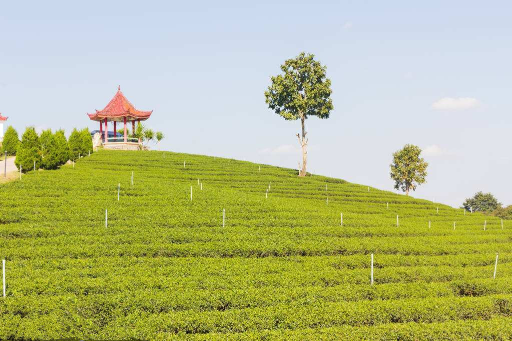 4個互聯網+合作社的案例故事：合作社成敗在于借力！