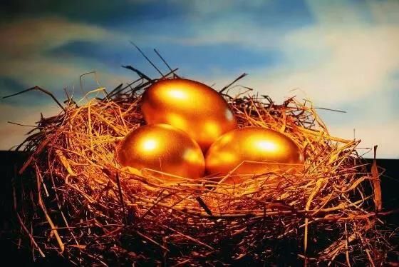 堪稱樣板！這家養殖合作社經營有高招