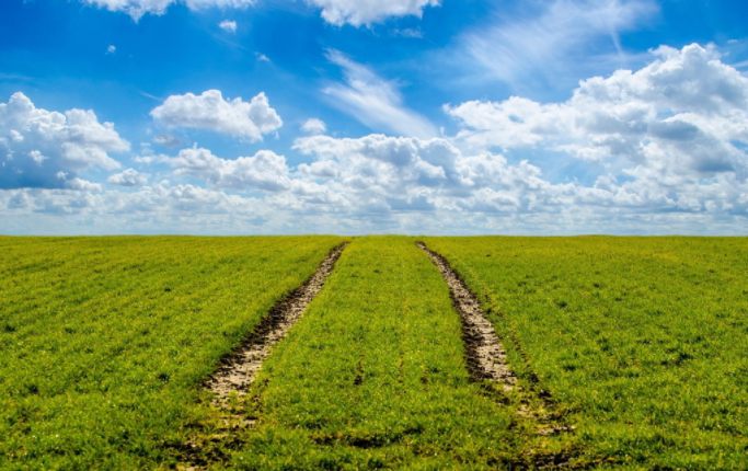 農業綜合體亟須綜合支持