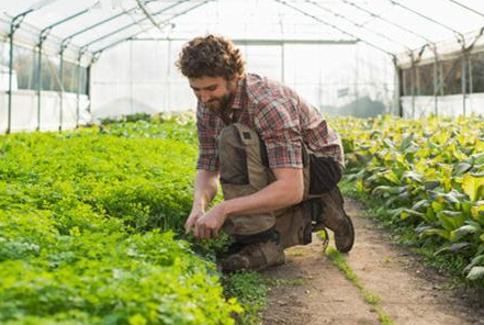 看了德國的農業，才知道什么才是差距！ 