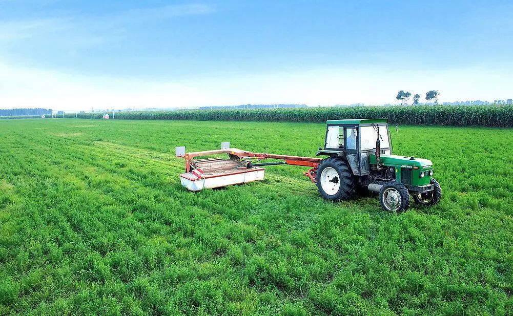 我國農業未來發展的思路與展望