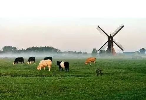 【海外農(nóng)業(yè)】荷蘭農(nóng)業(yè)為何能夠創(chuàng)造奇跡