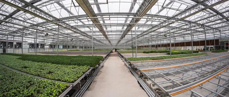 【模式研究】現(xiàn)代農(nóng)業(yè)產(chǎn)業(yè)化的三種模式，每一個都很實(shí)用