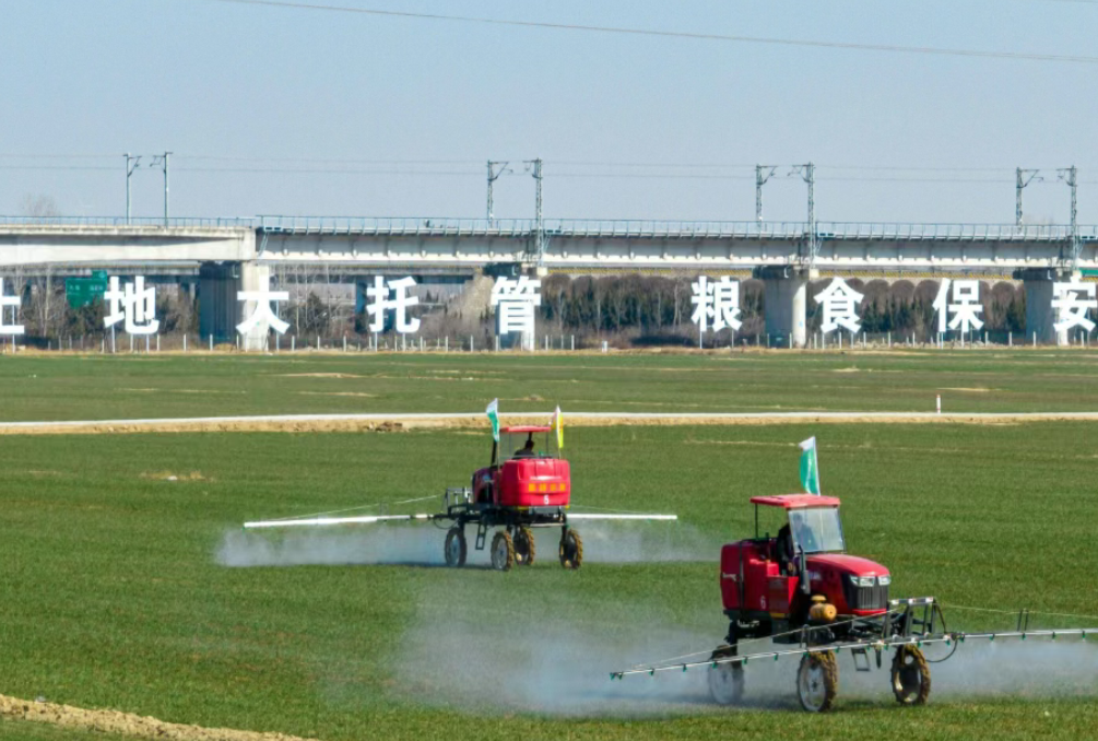 【合作社】農民專業合作社要做大做強，把握五個經營方向