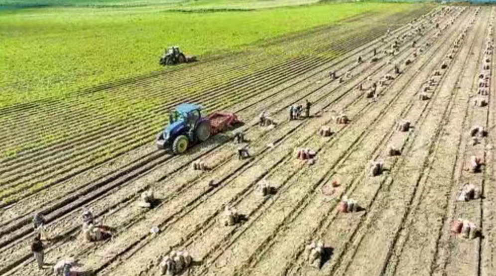 【合作社】最全整理！農民專業合作社十大模式