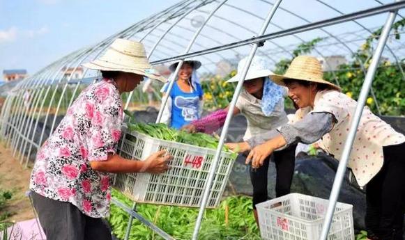 2017農村合作社補貼政策出臺