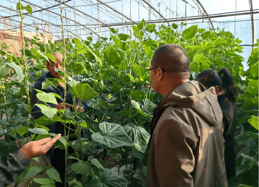 農(nóng)資行業(yè)商業(yè)模式揭秘：不靠賣農(nóng)資產(chǎn)品，靠會(huì)員年入百萬