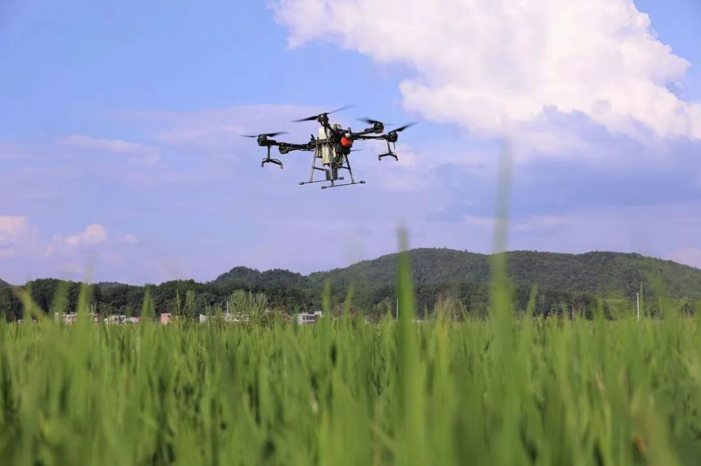 【政策解讀】關(guān)于加快提升北京市農(nóng)業(yè)科技創(chuàng)新體系整體效能的實(shí)施意見