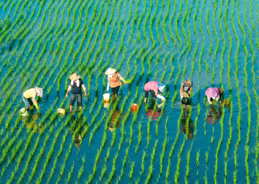 百千萬工程”背景下的鄉(xiāng)村振興綜合發(fā)展模式