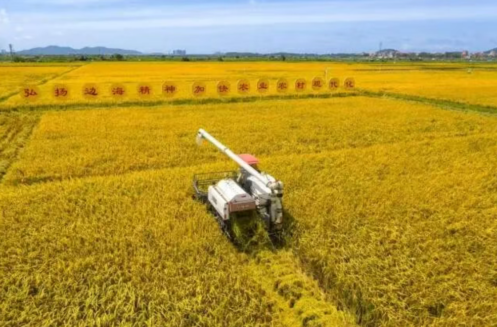 張紅宇：準確把握中央部署，扎實推進鄉村振興