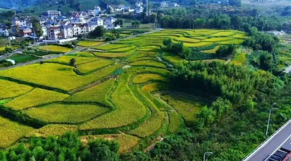 【鄉村振興案例】如何打造“三物融合”河南新范式