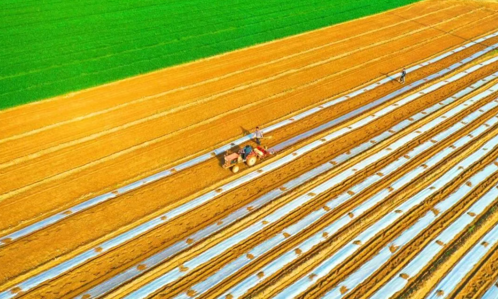 “十五五”鄉村振興新圖景：從“全面推開”到“全面深化”