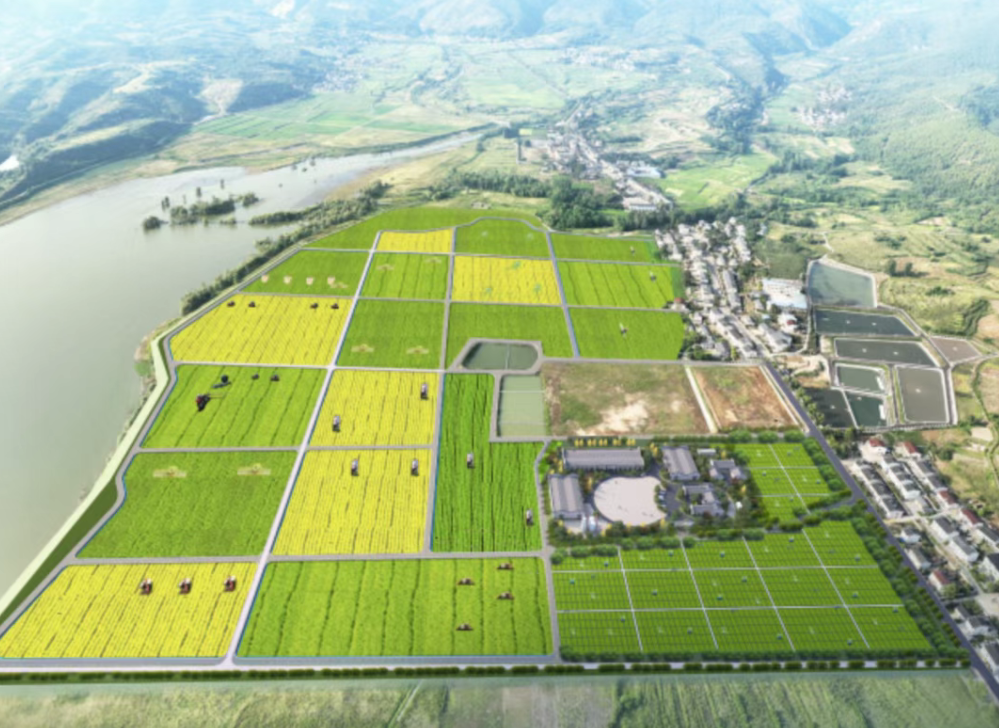 新農業！新場景！智慧農業未來方向：“伏羲農場”模式