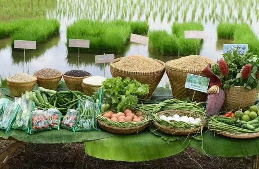 農產品未來的競爭核心，到底是什么？