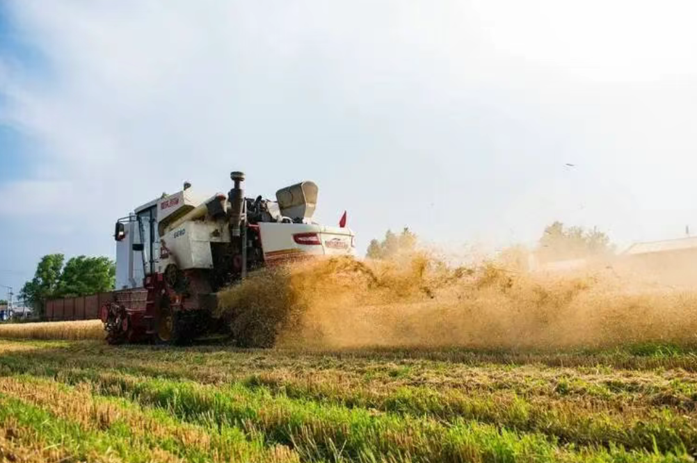 中央一號文件中的“品牌”看點，三農騰飛在即