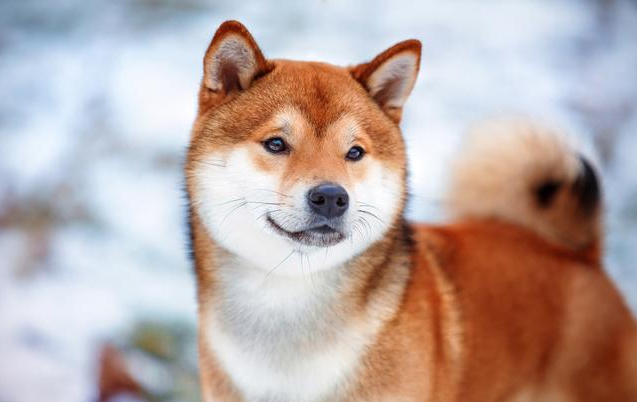 沒有營銷，只有人性！人生就一個字：賣