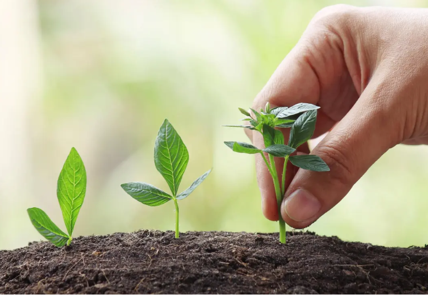 【智慧農(nóng)業(yè)】智慧農(nóng)業(yè)創(chuàng)業(yè)：20+條創(chuàng)新商業(yè)模式推薦