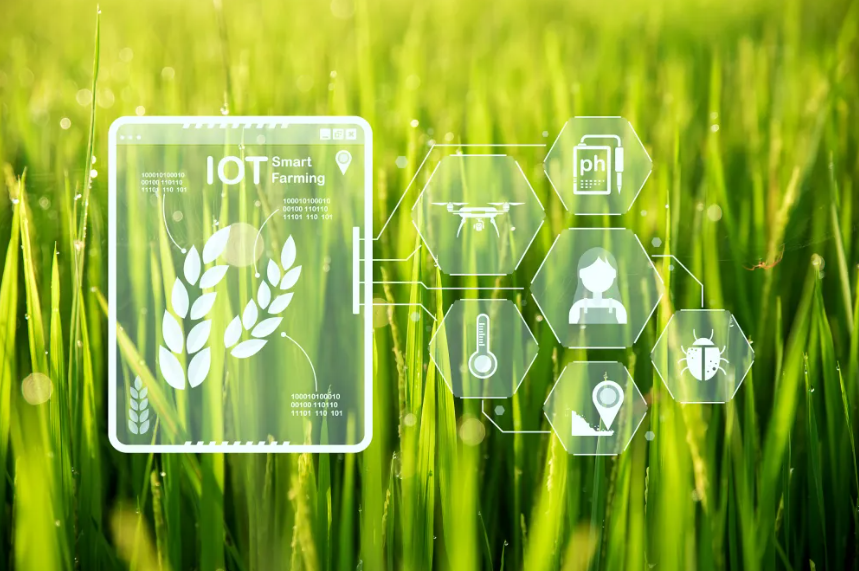 數(shù)字農(nóng)業(yè)創(chuàng)新典型案例——淘菜菜、京東農(nóng)場(chǎng)