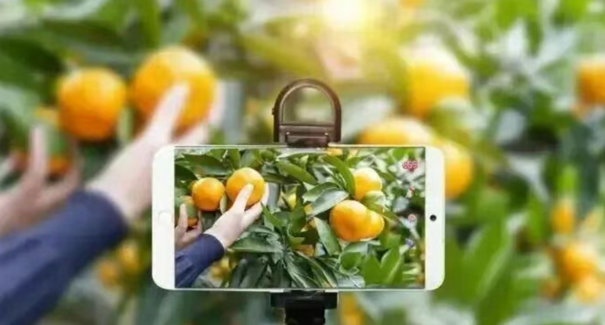 農(nóng)業(yè)現(xiàn)代化如何數(shù)字轉(zhuǎn)型？附5條路徑