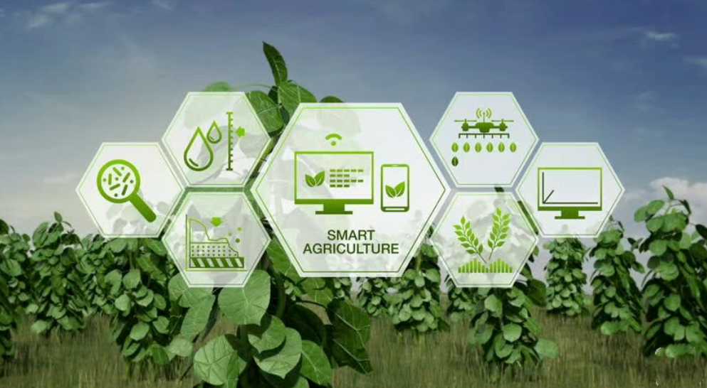 深度分析！中國數(shù)字農(nóng)業(yè)“向左走還是向右走”