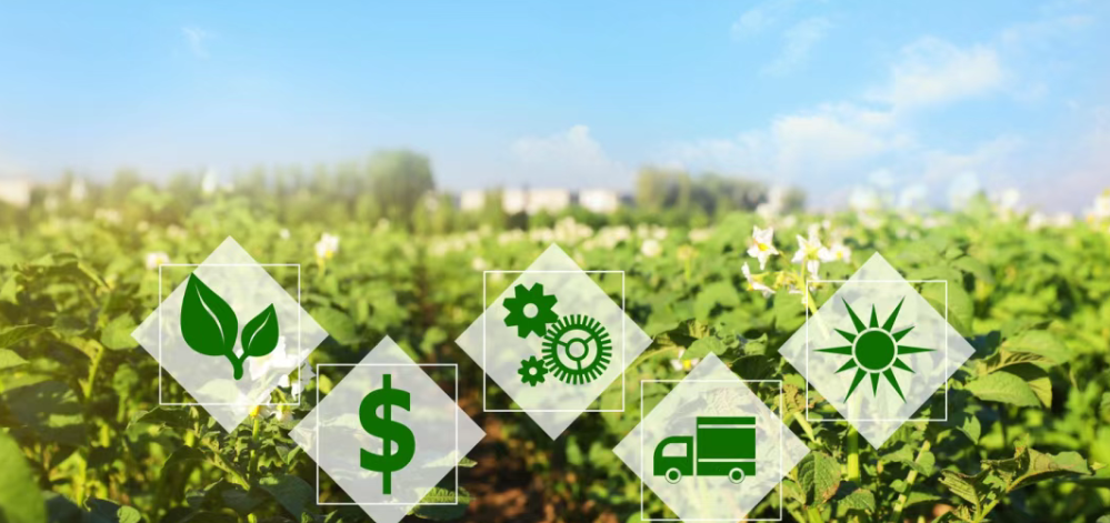 【智能農(nóng)業(yè)】人工智能如何重塑糧食產(chǎn)業(yè)價值鏈