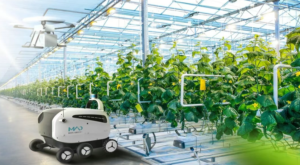 【技術(shù)研究】數(shù)字化農(nóng)業(yè)：SaaS的角色與意義