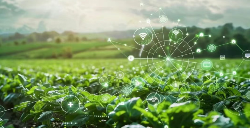 【數(shù)字農(nóng)業(yè)案例】一家現(xiàn)代農(nóng)業(yè)企業(yè)的“數(shù)字農(nóng)業(yè)方案”： “互聯(lián)網(wǎng) + 訂單農(nóng)業(yè)”